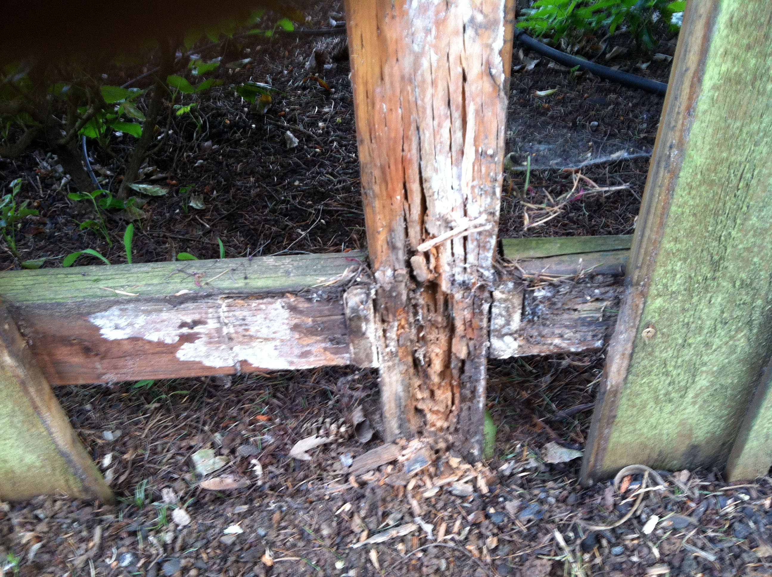 How Long Do Fence Posts Need To Cure at Cheryl Ramer blog