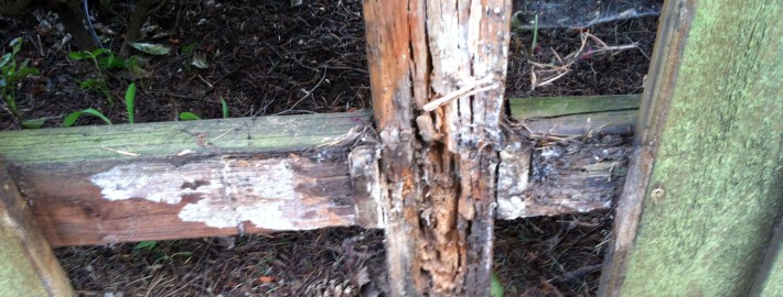 rotted fence posts and the cure